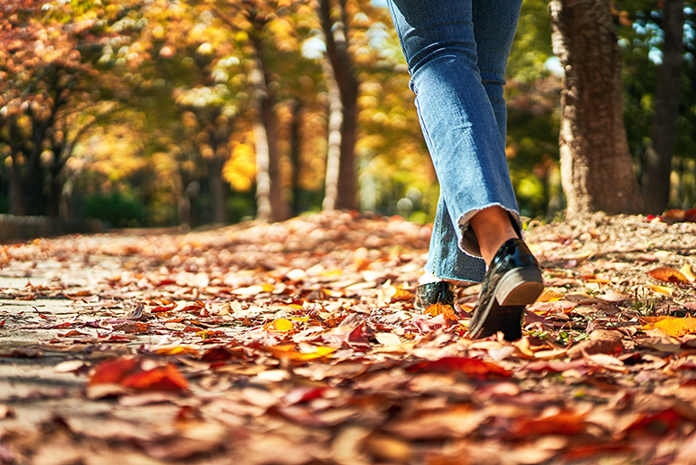 낙엽이 쌓인 길을 걷고 있는 사람