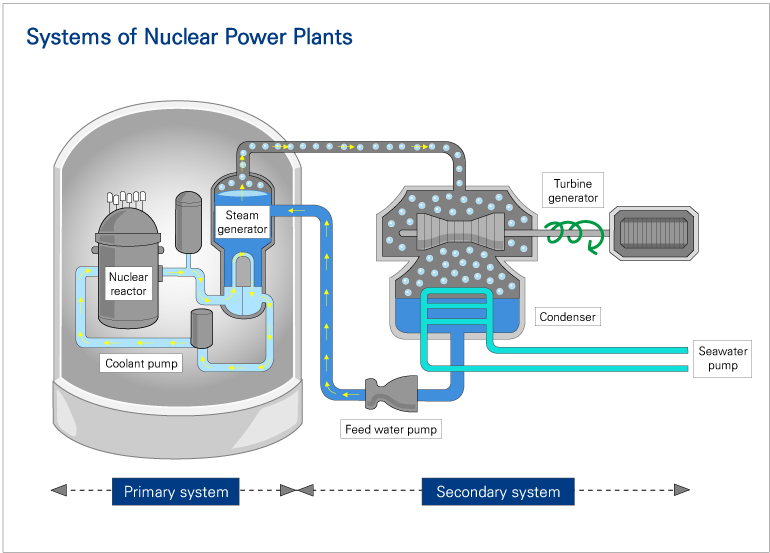 A nuclear power plant has primary systems and secondary systems. The primary system consists of the most important equipment at a nuclear power plant such as the reactor, coolant pumps and piping, and steam generators, while the secondary system consists of equipment related to turbine generators.