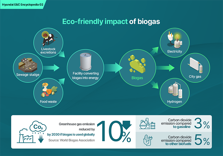 Eco-friendly impact of biogas Livestock excretions Sewage sludge  Food waste Facility converting biogas into energy  Biogas Electricity City gas Hydrogen Greenhouse gas emission reduced by 10% by 2030 if biogas is used globally  Source: World Biogas Association Carbon dioxide emission compared to gasoline 3% Carbon dioxide emission compared to other biofuels 5%