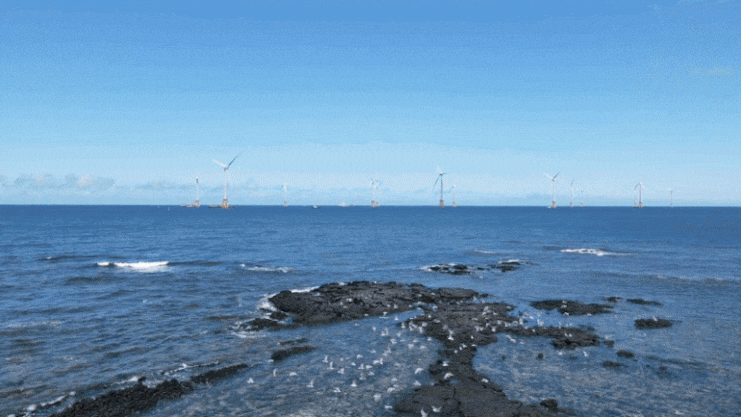 제주 한림해상풍력 전경