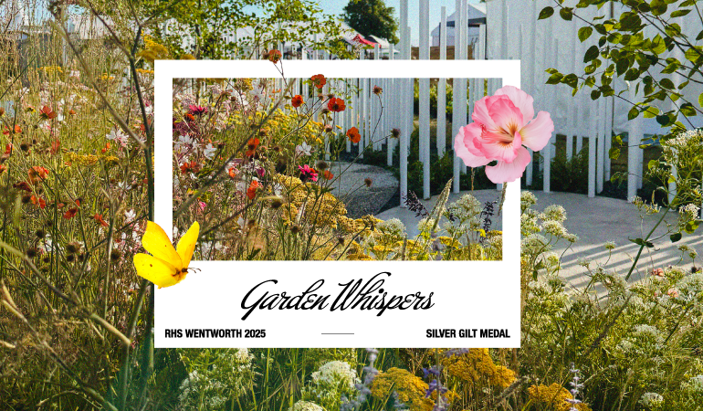 Garden Whispers Garden Whispers RHS WENTWORTH 2025 SILVER GILT MEDAL