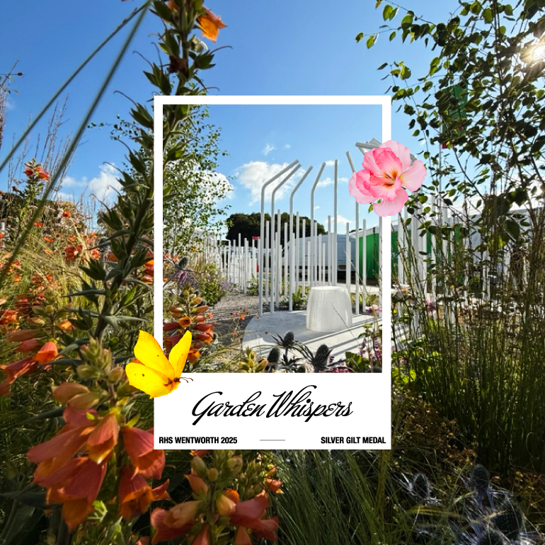 Garden Whispers Garden Whispers RHS WENTWORTH 2025 SILVER GILT MEDAL