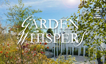 Beyond the Garden, Building Emotion: The Story Behind Hyundai E&C`s Award at the UK RHS Flower Show